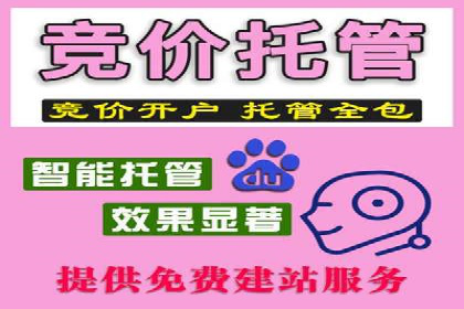 SEM账户运营优化：实战案例剖析